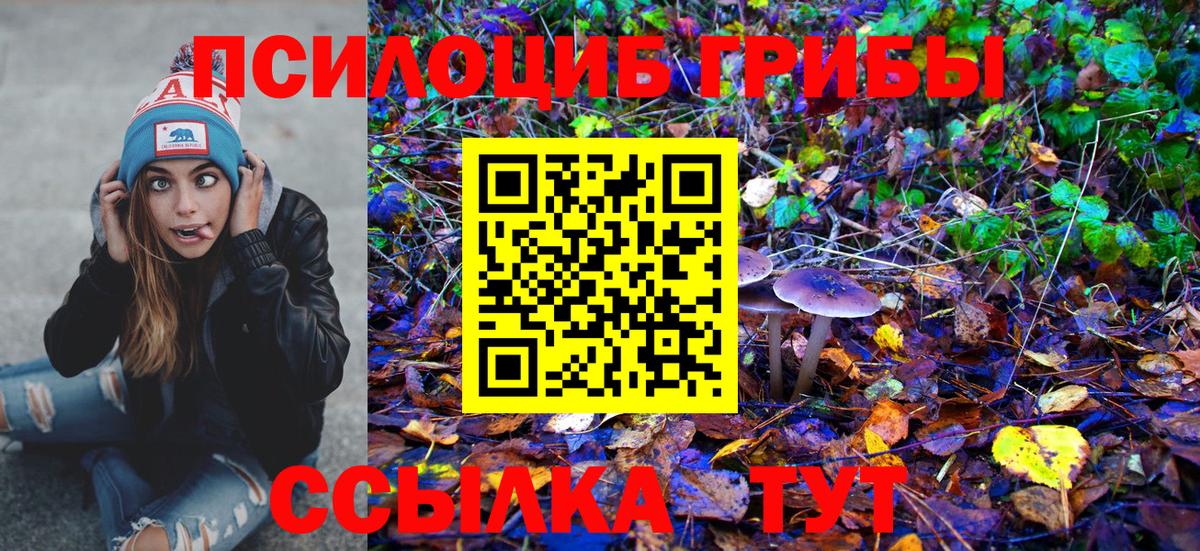 Галлюциногенные грибы мухоморы Сальск