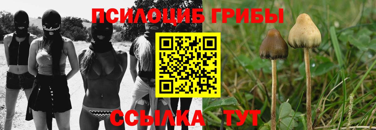 Галлюциногенные грибы прущие грибы  Вход с VPN  Сальск 
